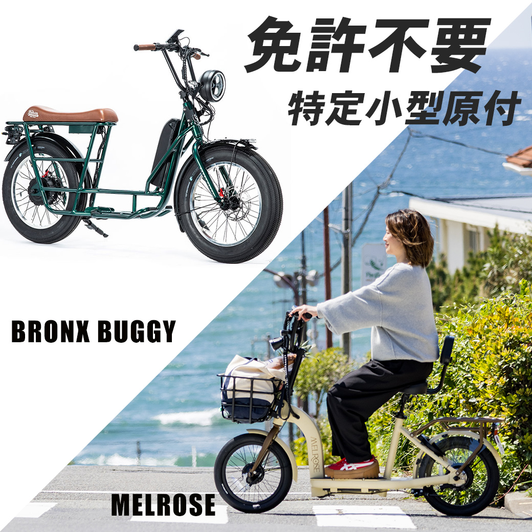 特定小型原動機付自転車