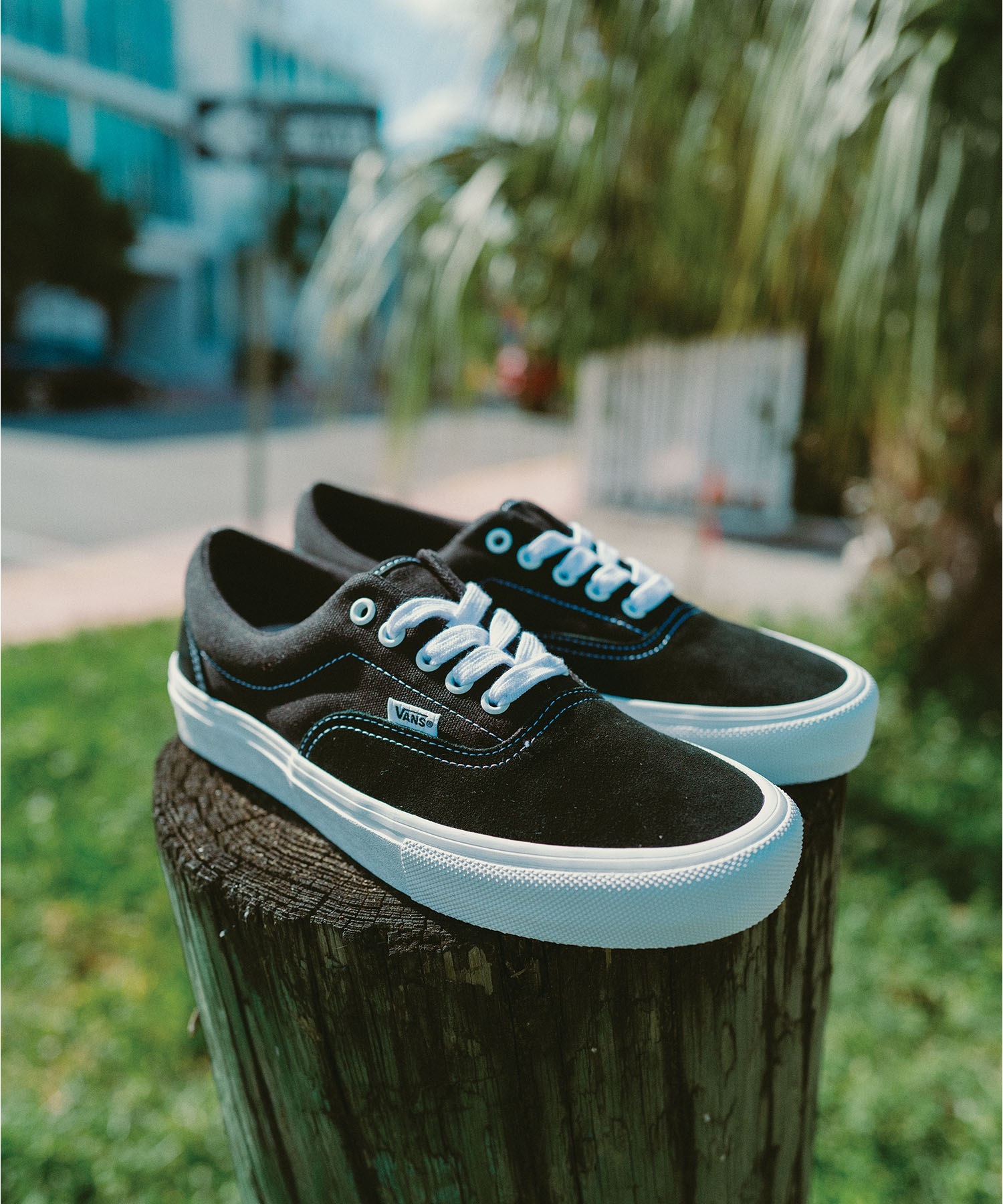 VANS ヴァンズ スケート エラ VN000ECRBA2 シューズ スニーカー スケートボード/アクションスポーツ メンズ レディース(BK/WT-23.0cm)