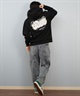 DC ディーシー プルオーバー パーカー メンズ バックプリント 25 SK CREW PH パーカー DPO254041(BLK-M)