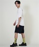 DOGTOWN ドッグタウン 半袖 Tシャツ メンズ バックプリント オーバーサイズ 253DT1ST005(IVO-M)