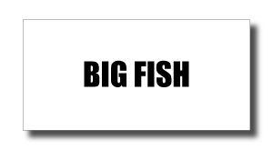 bigfishLogo - SHOP NEWS | ムラサキスポーツオンラインストア 通販